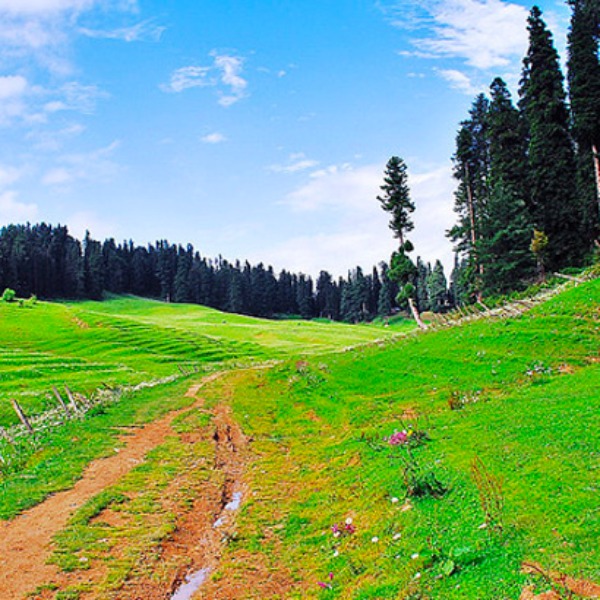 place