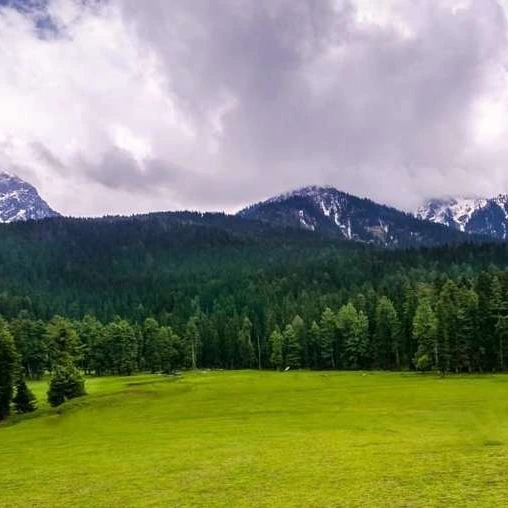 place