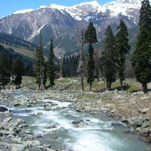 place