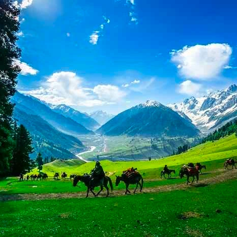 place